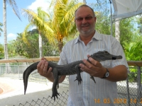 2010 03 14 Everglades Aligatorfarm mit Nachwuchs