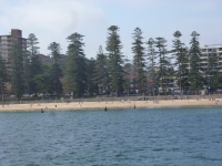 Spaziergang in Manly