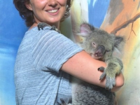 2014-10-31-kuranda-koala-gardens