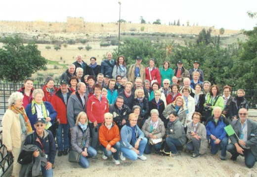 2014 11 23 Jerusalem Garten Gethsemane Bus grün