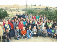 2014 11 23 Jerusalem Garten Gethsemane Bus grün