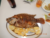 Petrusfisch im Restaurant von Ali am See Genezareth