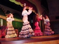 2015 05 04 Sevilla Flamencoshow im El Palacio Andaluz