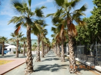 strandpromenade