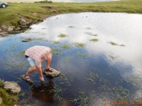 Moorsee Wasserentnahme