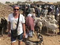 Eric inmitten hunderter Schafe und Ziegen