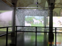 Videofilm im Gebäude Rossstall