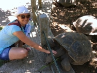 Die letzten Schildkröten in diesem Urlaub