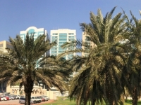 2016 10 26 Abu Dhabi Busfahrt