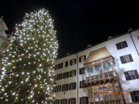 Goldenes Dachl mit Weihnachtsbaum