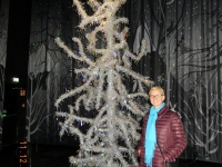 2016 12 11 Swarovski Weihnachtsbaum aus Kristall