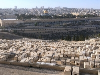 Riesiger Jüdischer Friedhof gegenüber dem Tempelberg
