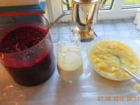 Rote Grütze mit Vanillesauce oder Apfelmus als Nachspeise