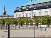 Schloss Christiansborg mit den königlichen Pferden