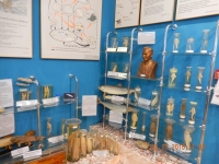 Museum für Seeerforschung