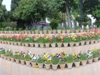 Mausoleum vom Dichter Saadi mit wunderschönem Garten