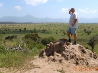 Blick in die Nationalparks Tsavo Ost und West