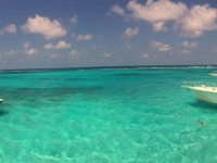 2017 03 27 Grand Cayman Rochenschwimmen mitten im Meer