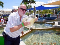 2017 03 27 Grand Cayman Schildkrötenfarm mit Bussi