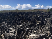 2017 03 27 Grand Cayman Vulkangestein bei der Hell
