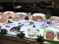 Fischmarkthalle