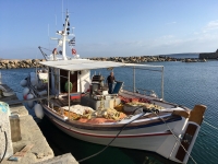 Hafen in Naoussa Fischerboot