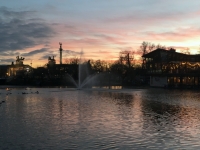 Sonnenuntergang im Park
