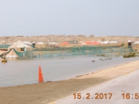 Tausende Zelte für das Wochenende der Bahrainies