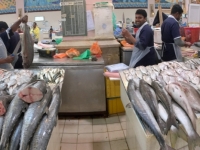 2017 02 17 Fischmarkt mit reichlichem Angebot