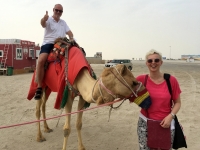 2018 04 09 Doha Wüstensafari Kamelreiten
