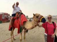 Kamel steht auf Jutta