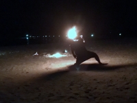 Feuershow am Strand