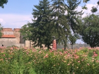Rosengarten vor der Festung