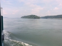 Insel in der Donau