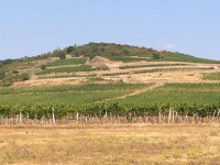 Ungarn Kulturlandschaft Tokajer Weinregion Kopfbild
