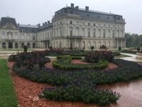 2018 09 04 Keszhely Schloss Festetics sehr schöner Garten