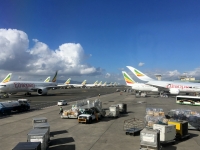 Ethiopien Air Flotte