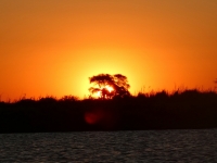2018 10 28 Chobe Nationalpark Bootsfahrt mit perfekten Sonnenuntergang