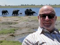 2018 10 28 Chobe Nationalpark  Elefanten gehen ins Wasser