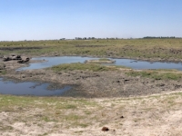 2018 10 28 Chobe Nationalpark mit totem Elefanten