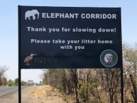 2018 10 31 Livingstone Maramba Lodge Elefanten Korridor