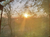 Sonnenaufgang aus unserem Zelt heraus