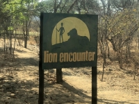 Ankunft bei Lion encounter