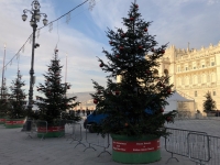 Piazza Unita del Italia Christbäume rundherum