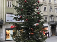 Weihnachtsbäume in der ganzen Innenstadt