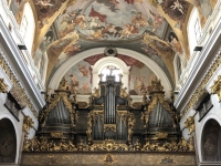 Dom St. Nikolaus Orgel