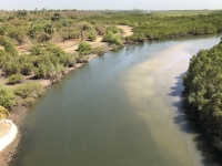 Blick auf Nebenarm des Gambia River