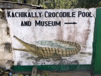 Eingang zum Krokodilpool