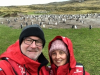 2019 03 06 Grave Cove Kolonie Rockhoppers Pinguine Land