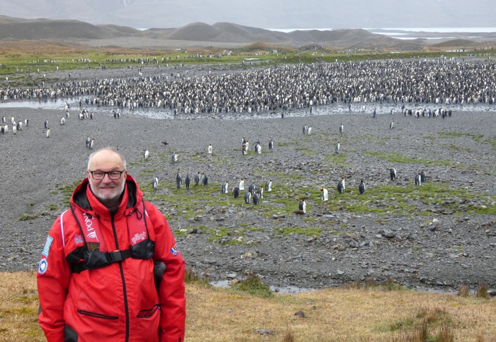 Geschätzte 6000 Pinguine sind heute hier